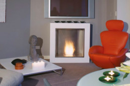 Ecosmart foyer éthanol cube