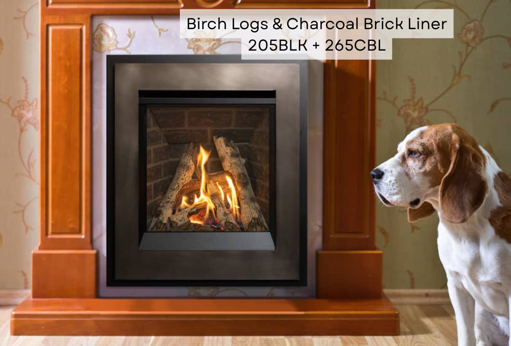 P2 Gas Fireplace