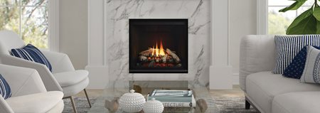 G600EC Gas Fireplace - G600EC