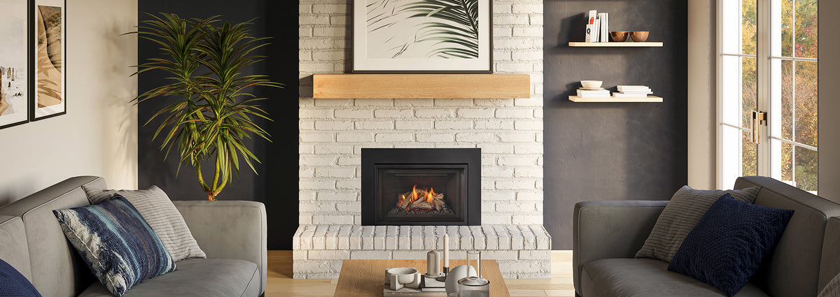 Gi27LE Gas Insert