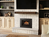Gi27LE Gas Insert