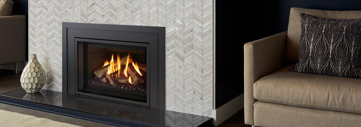 Gi29LE Gas Insert