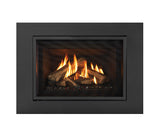 Gi29LE Gas Insert