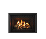 Gi29LE Gas Insert