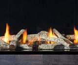 New York View 50 Gas Fireplace