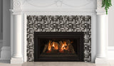 Kozy Heat Chaska 25 compact gas fireplace insert
