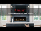 New York View 50 Gas Fireplace